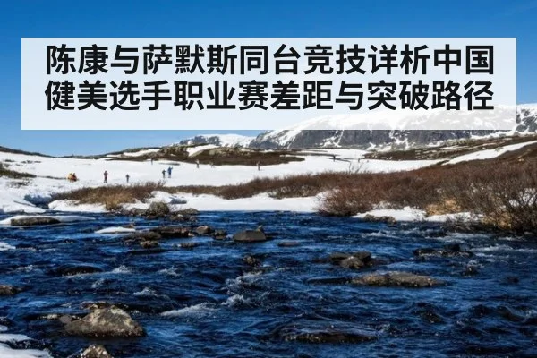 陈康与萨默斯同台竞技详析中国健美选手职业赛差距与突破路径