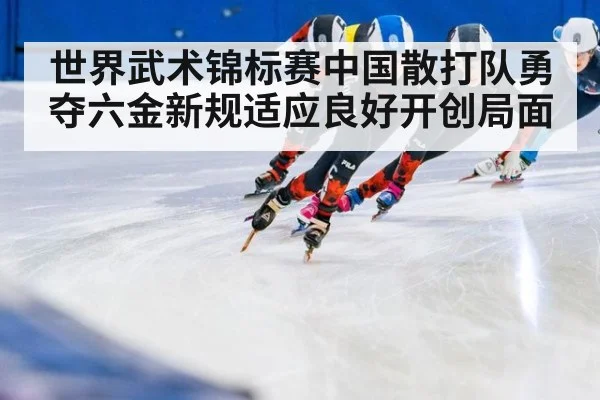 世界武术锦标赛中国散打队勇夺六金新规适应良好开创局面